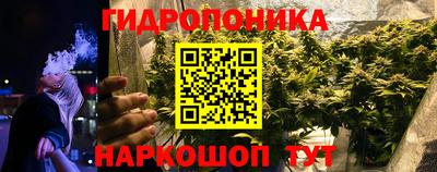 молекула духа Кулебаки