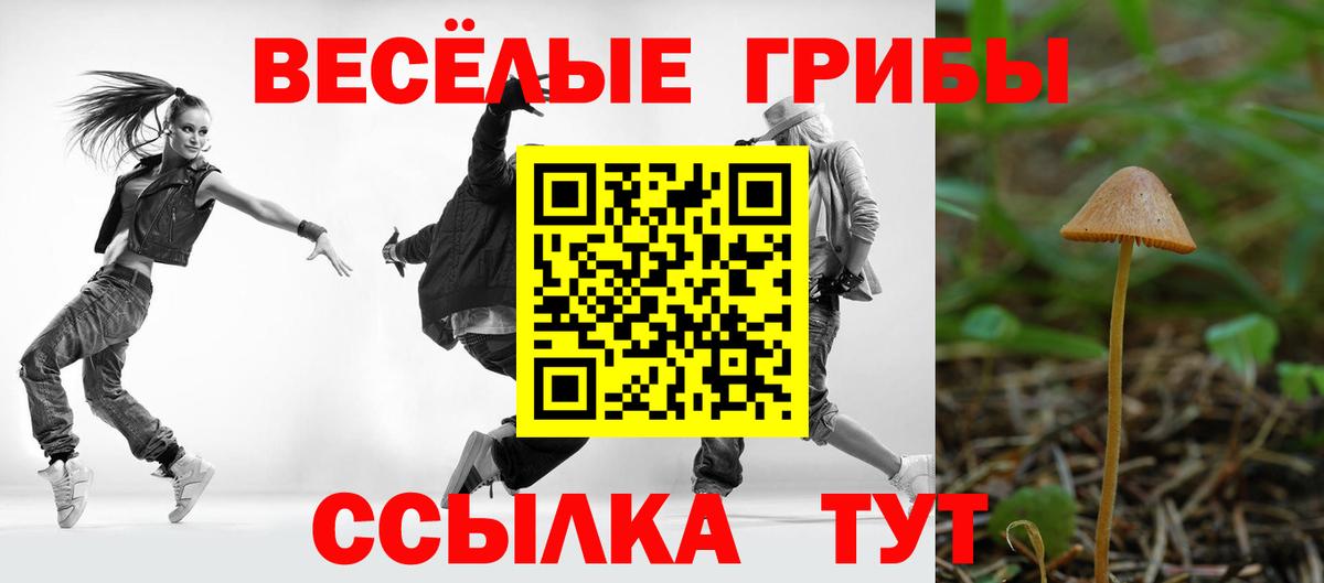 Псилоцибиновые грибы прущие грибы  Вход с VPN  Маркс 